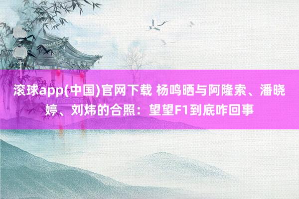 滚球app(中国)官网下载 杨鸣晒与阿隆索、潘晓婷、刘炜的合照：望望F1到底咋回事