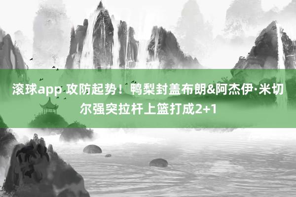 滚球app 攻防起势！鸭梨封盖布朗&阿杰伊·米切尔强突拉杆上篮打成2+1