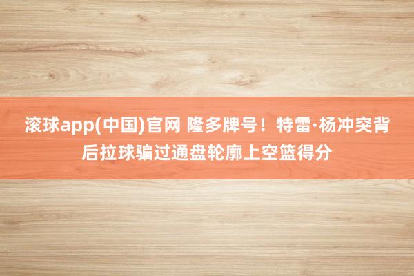 滚球app(中国)官网 隆多牌号！特雷·杨冲突背后拉球骗过通盘轮廓上空篮得分