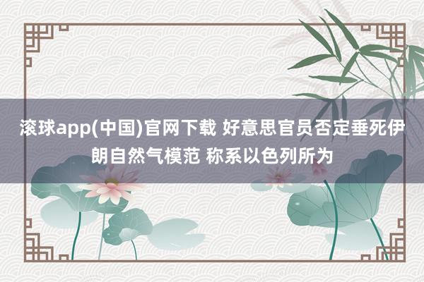 滚球app(中国)官网下载 好意思官员否定垂死伊朗自然气模范 称系以色列所为