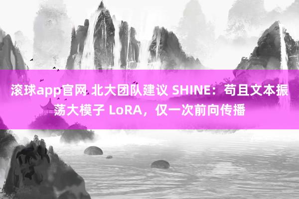 滚球app官网 北大团队建议 SHINE：苟且文本振荡大模子 LoRA，仅一次前向传播
