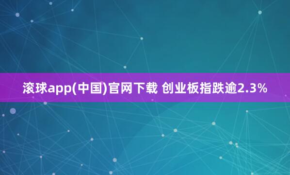 滚球app(中国)官网下载 创业板指跌逾2.3%