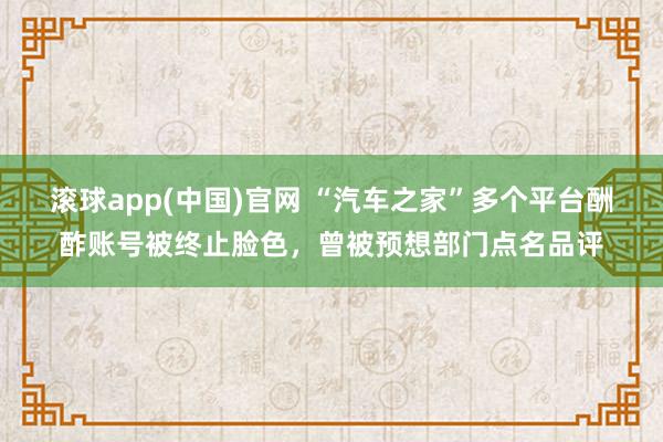 滚球app(中国)官网 “汽车之家”多个平台酬酢账号被终止脸色，曾被预想部门点名品评