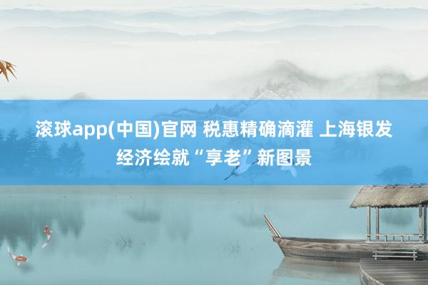 滚球app(中国)官网 税惠精确滴灌 上海银发经济绘就“享老”新图景