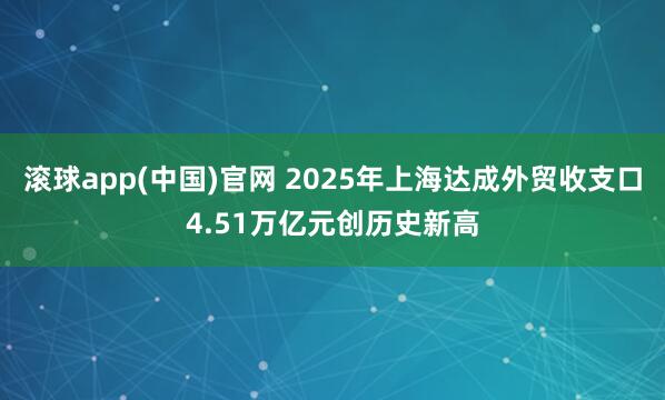 滚球app(中国)官网 2025年上海达成外贸收支口4.51万亿元创历史新高