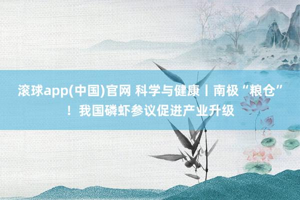 滚球app(中国)官网 科学与健康丨南极“粮仓”！我国磷虾参议促进产业升级
