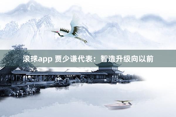 滚球app 贾少谦代表：智造升级向以前