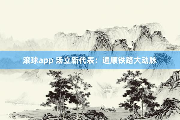 滚球app 汤立新代表：通顺铁路大动脉
