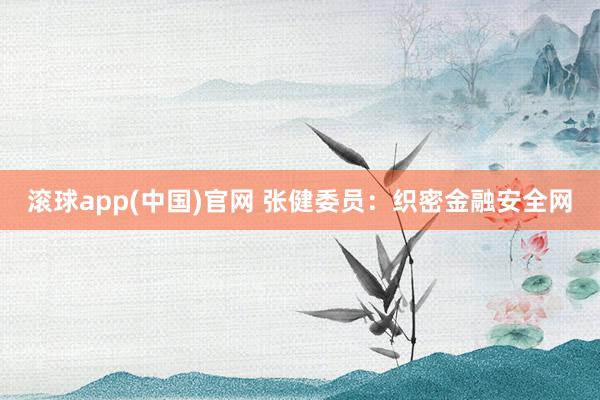 滚球app(中国)官网 张健委员：织密金融安全网
