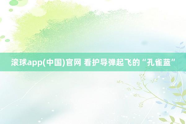 滚球app(中国)官网 看护导弹起飞的“孔雀蓝”