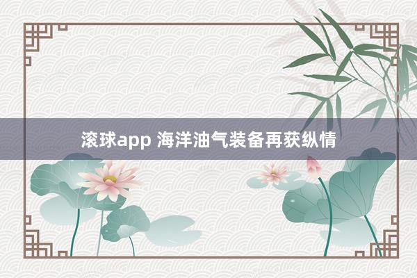 滚球app 海洋油气装备再获纵情