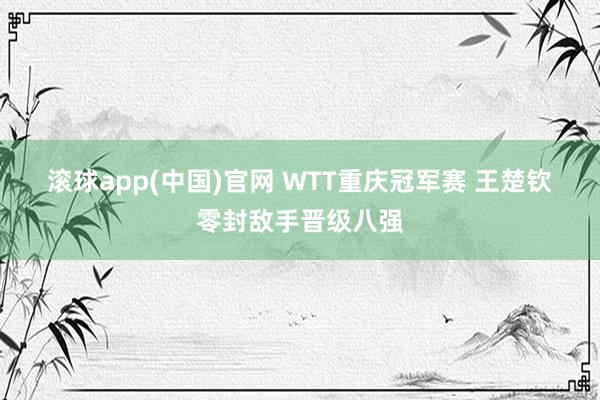 滚球app(中国)官网 WTT重庆冠军赛 王楚钦零封敌手晋级八强