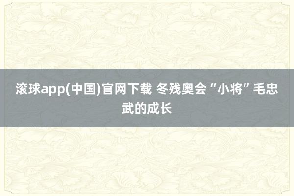 滚球app(中国)官网下载 冬残奥会“小将”毛忠武的成长