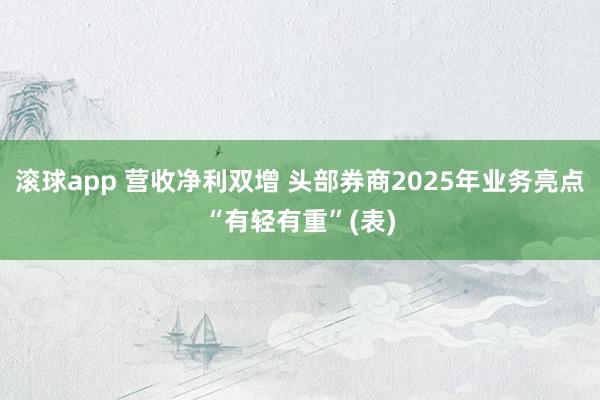 滚球app 营收净利双增 头部券商2025年业务亮点“有轻有重”(表)