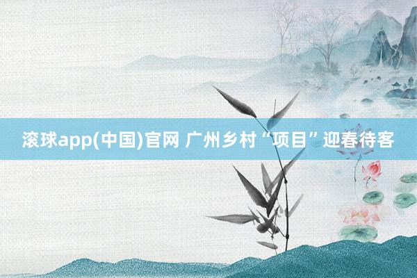 滚球app(中国)官网 广州乡村“项目”迎春待客
