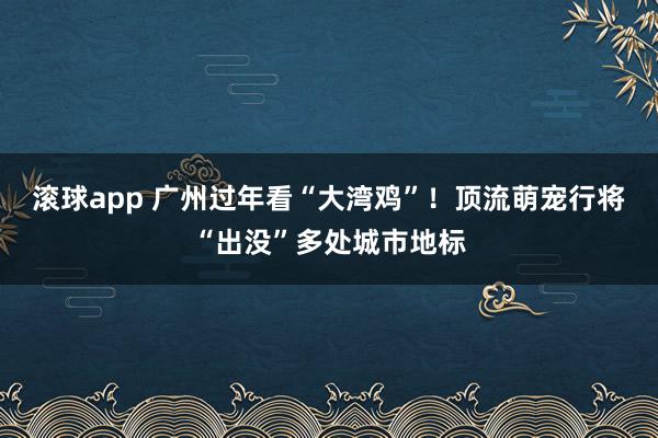 滚球app 广州过年看“大湾鸡”！顶流萌宠行将“出没”多处城市地标