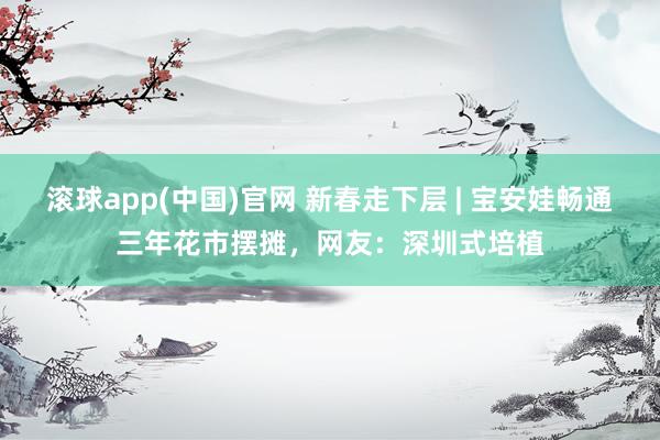 滚球app(中国)官网 新春走下层 | 宝安娃畅通三年花市摆摊，网友：深圳式培植