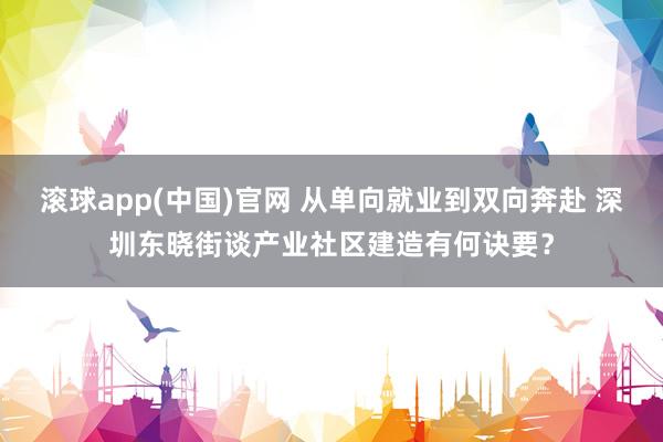 滚球app(中国)官网 从单向就业到双向奔赴 深圳东晓街谈产业社区建造有何诀要？
