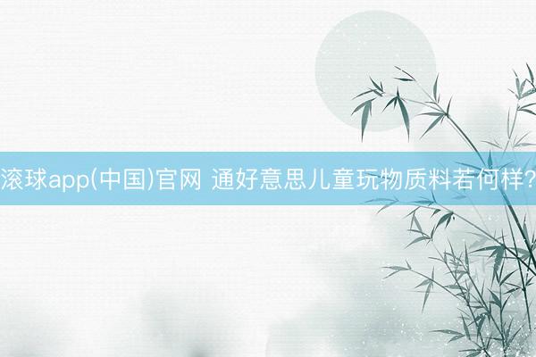 滚球app(中国)官网 通好意思儿童玩物质料若何样？