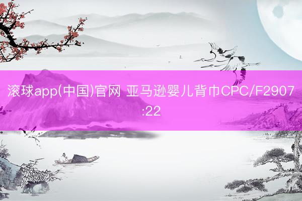 滚球app(中国)官网 亚马逊婴儿背巾CPC/F2907:22