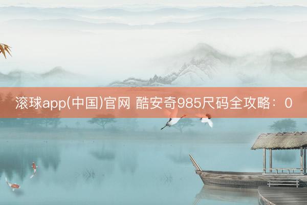 滚球app(中国)官网 酷安奇985尺码全攻略：0