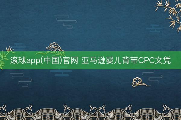 滚球app(中国)官网 亚马逊婴儿背带CPC文凭