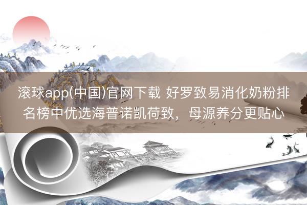 滚球app(中国)官网下载 好罗致易消化奶粉排名榜中优选海普诺凯荷致，母源养分更贴心