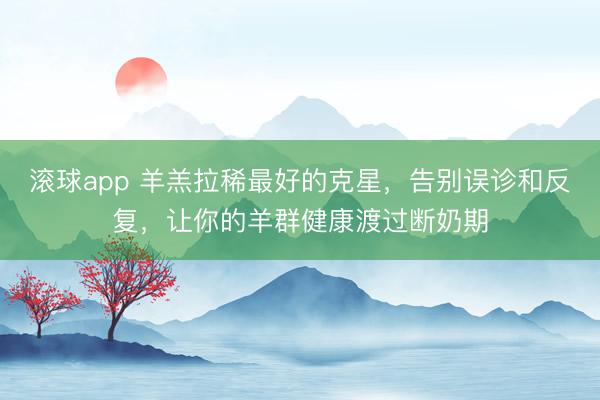 滚球app 羊羔拉稀最好的克星，告别误诊和反复，让你的羊群健康渡过断奶期