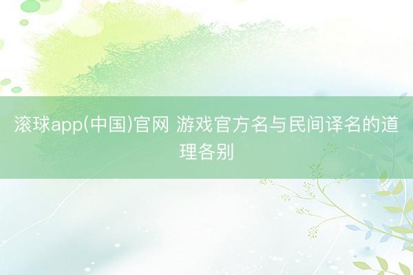 滚球app(中国)官网 游戏官方名与民间译名的道理各别