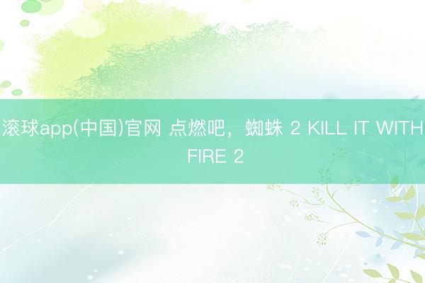滚球app(中国)官网 点燃吧，蜘蛛 2 KILL IT WITH FIRE 2