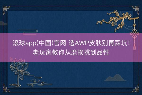滚球app(中国)官网 选AWP皮肤别再踩坑！老玩家教你从磨损挑到品性