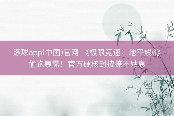 滚球app(中国)官网 《极限竞速:地平线6》偷跑暴露!官方硬核封按捺不姑息