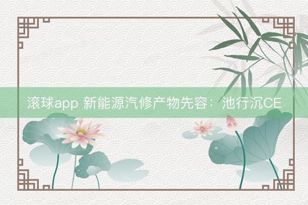 滚球app 新能源汽修产物先容：池行沉CE