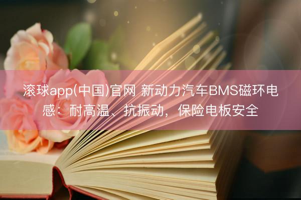 滚球app(中国)官网 新动力汽车BMS磁环电感：耐高温、抗振动，保险电板安全