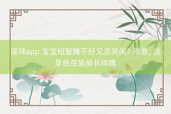 滚球app 宝宝短暂睡不好又总哭闹? 别急， 这是他在偷偷长体魄