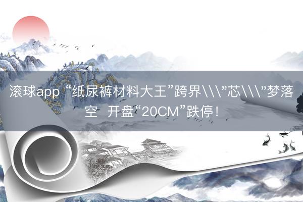 滚球app “纸尿裤材料大王”跨界\