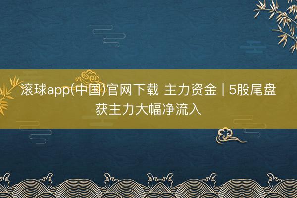 滚球app(中国)官网下载 主力资金 | 5股尾盘获主力大幅净流入