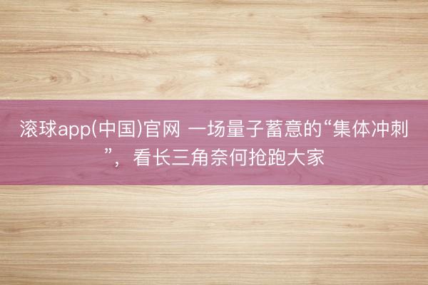 滚球app(中国)官网 一场量子蓄意的“集体冲刺”，看长三角奈何抢跑大家
