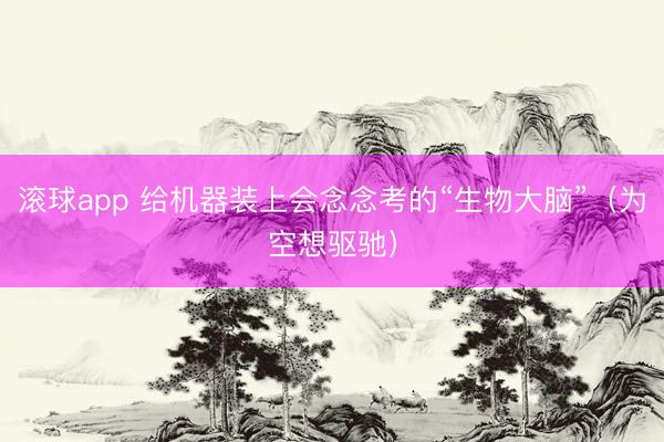 滚球app 给机器装上会念念考的“生物大脑”（为空想驱驰）