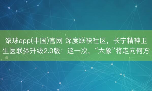 滚球app(中国)官网 深度联袂社区，长宁精神卫生医联体升级2.0版：这一次，“大象”将走向何方