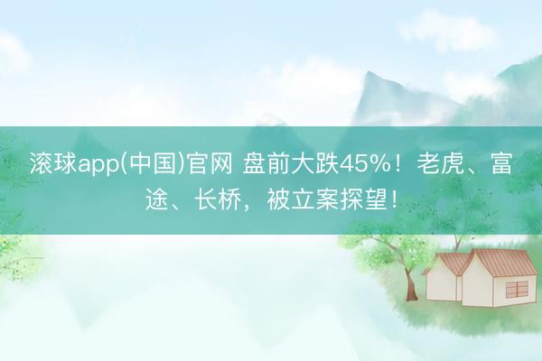 滚球app(中国)官网 盘前大跌45%!老虎、富途、长桥,被立案探望!