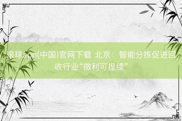 滚球app(中国)官网下载 北京：智能分拣促进回收行业“微利可捏续”