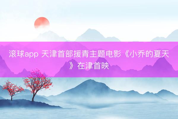 滚球app 天津首部援青主题电影《小乔的夏天》在津首映