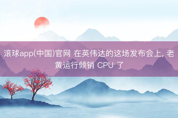 滚球app(中国)官网 在英伟达的这场发布会上， 老黄运行倾销 CPU 了