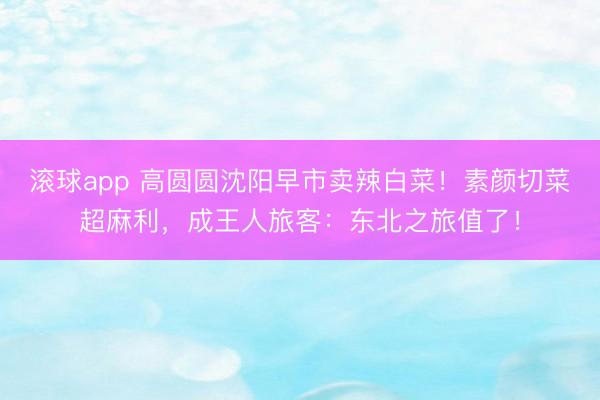 滚球app 高圆圆沈阳早市卖辣白菜!素颜切菜超麻利,成王人旅客:东北之旅值了!