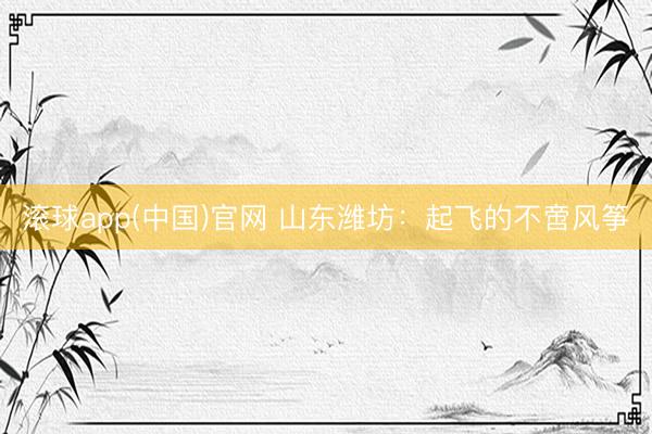 滚球app(中国)官网 山东潍坊：起飞的不啻风筝