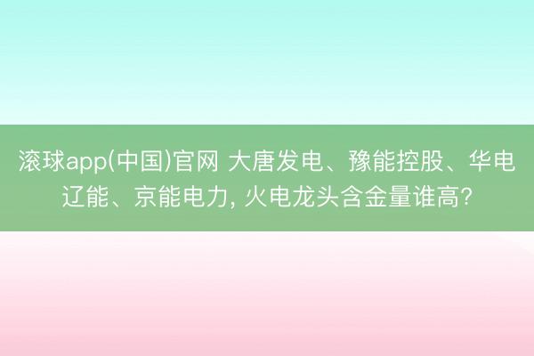 滚球app(中国)官网 大唐发电、豫能控股、华电辽能、京能电力， 火电龙头含金量谁高?