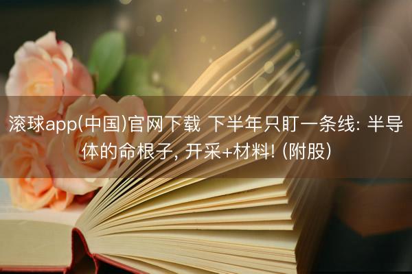 滚球app(中国)官网下载 下半年只盯一条线: 半导体的命根子， 开采+材料! (附股)
