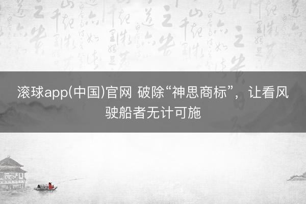 滚球app(中国)官网 破除“神思商标”，让看风驶船者无计可施
